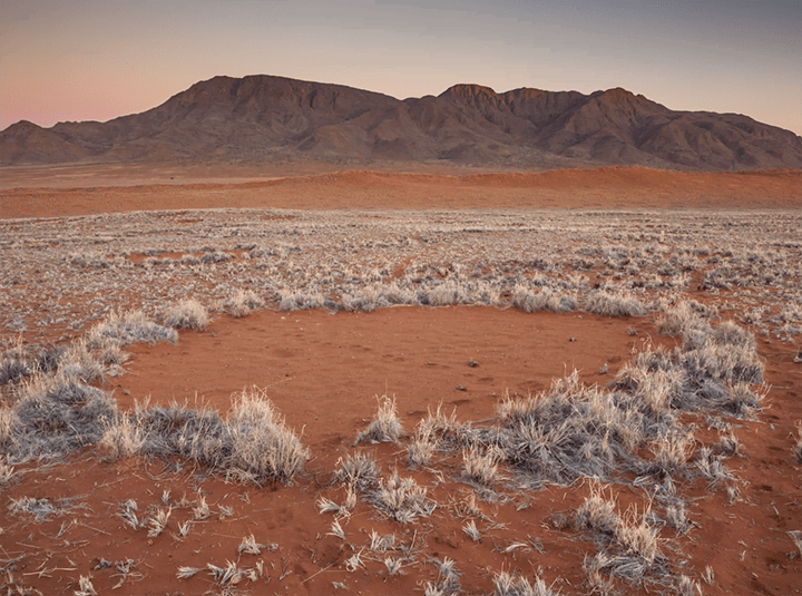Unraveling the Mystery of Namibia's Fairy Circle